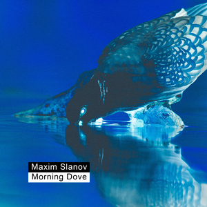 KoreanBJ无胸罩福利视频
