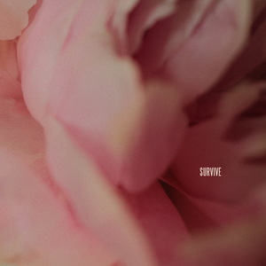 KoreanBJ无胸罩福利视频
